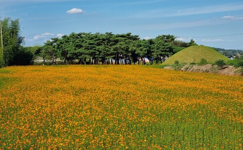 메인사진